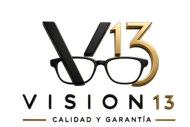 Vision 13